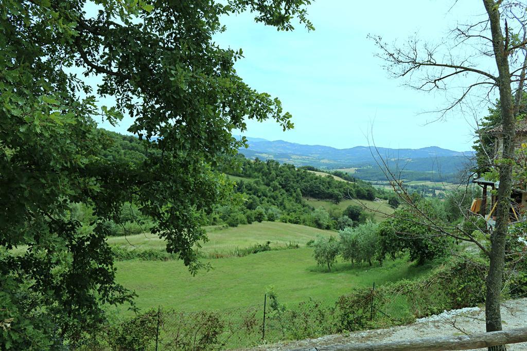 La Valle Dei Fiori Di Bellucci Rosanna