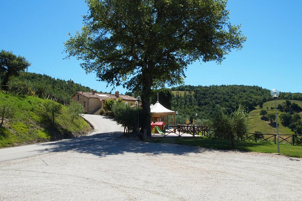 La Valle Dei Fiori Di Bellucci Rosanna