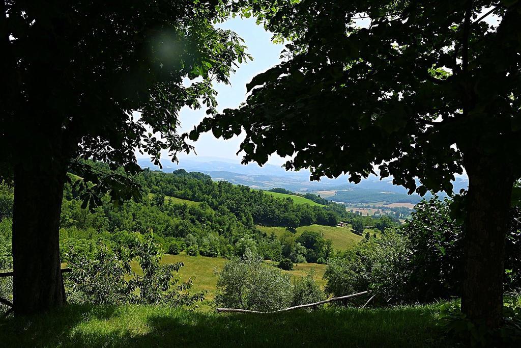 La Valle Dei Fiori Di Bellucci Rosanna